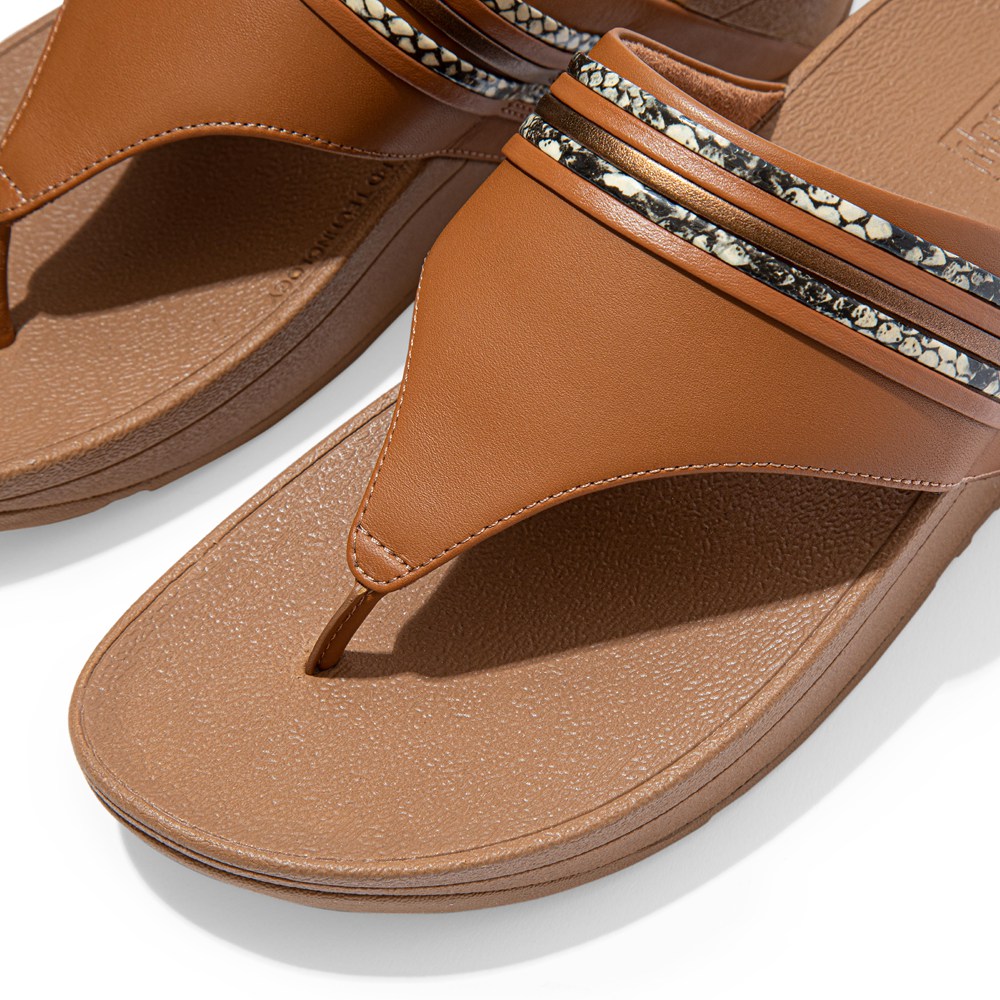 Fitflop Womens Sandals - Olive Snake-bangle Toe-post - Brown - 103-RZCYSO